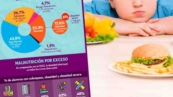 Obesidad escolar cae 0,7% y persiste preocupación: Tres de cada cinco niños de 5º Básico padecen malnutrición por exceso