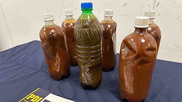 Capturan a sujeto que intentó ingresar seis botellas con ayahuasca por el aeropuerto de Santiago