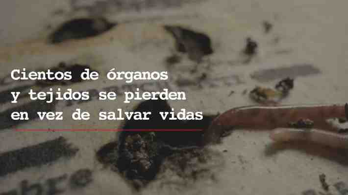 "Comida para gusanos": Campaña del Minsal para donación de órganos abre debate por "perturbadoras" imágenes