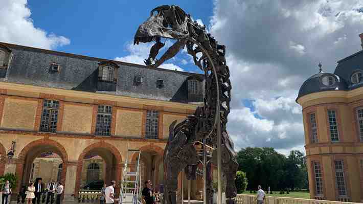 Esqueleto del dinosaurio más grande jamás puesto en venta será subastado en Francia en noviembre