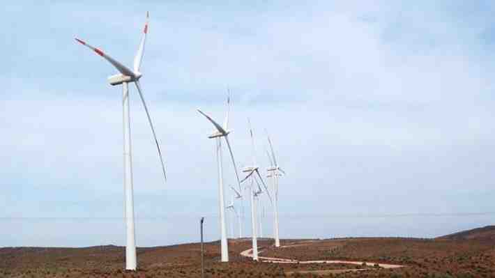 Por muerte de cóndores, halcones y murciélagos: SMA ordena medidas preventivas al parque eólico Talinay
