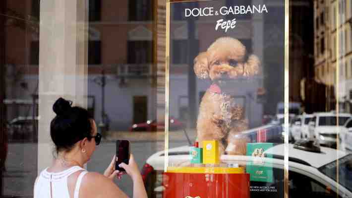 Marca de lujo lanza un perfume para perros y causa controversia entre los veterinarios: Encubre síntomas de enfermedades