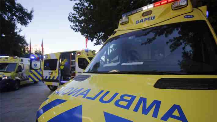 Hombre de 80 años es atacado por perros pitbulls en Santa Juana: Sufrió la amputación de sus brazos y está en riesgo vital