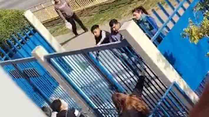 Video | Apoderados y alumnos pelea con cuchillos a la salida de liceo en Puente Alto: Estudiante atropelló a su madre y a otro adulto