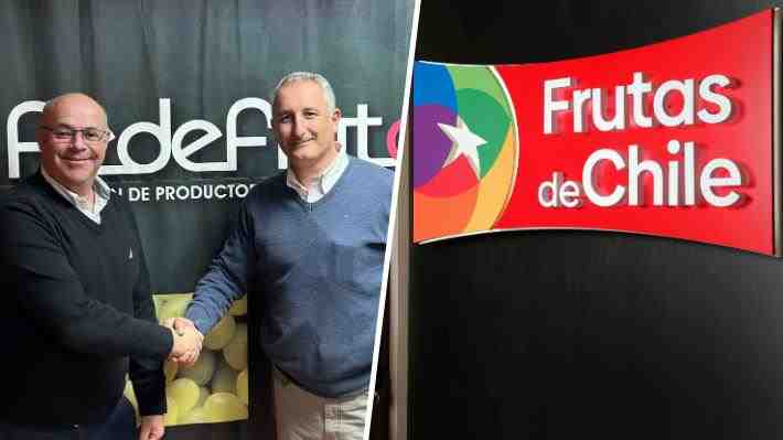 Choque de gremios agrícolas: Fedefruta demanda a exportadores por uso de la marca "Frutas de Chile"