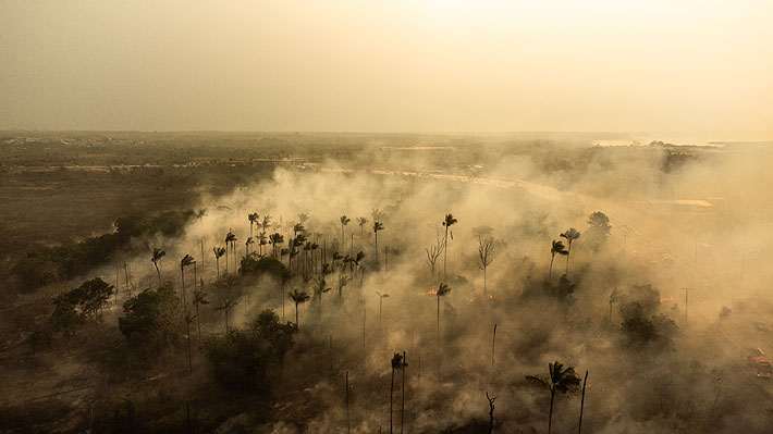 Una región en llamas: Los incendios en la Amazonía que afectan a Sudamérica