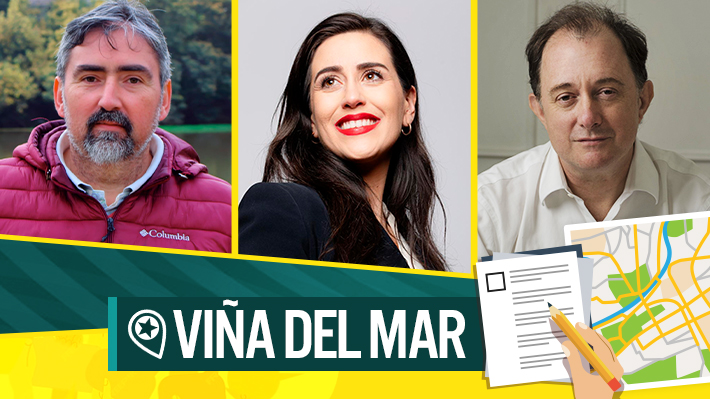 íaz, Ripamonti y Poduje: Candidatos de Viña del Mar responden el cuestionario Emol