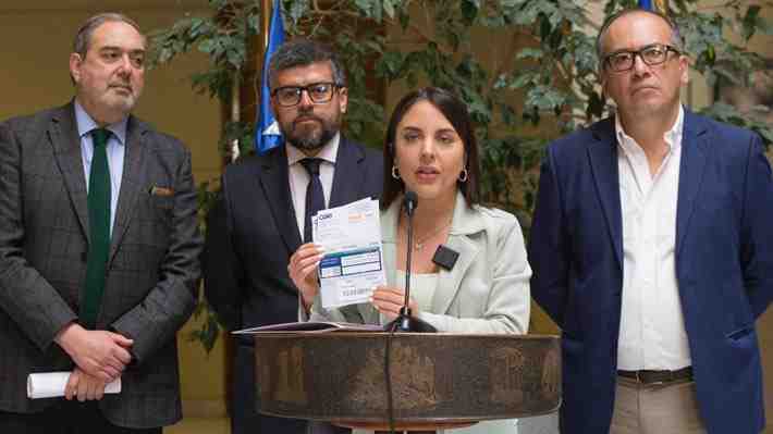 Diputados PPD-Independientes presionan al Gobierno y piden una rebaja universal del 10% en las cuentas de la luz
