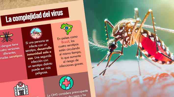 Las cifras que deja el mayor brote mundial de dengue: Casos superan los 12,7 millones y el 77% está en Brasil