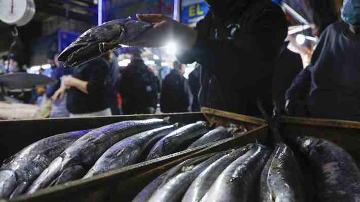 "Peligra la estabilidad laboral de miles": Gremios del Biobío en alerta por discusión inmediata de nueva Ley de Pesca