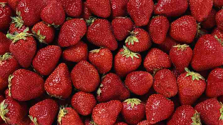 Ricas en nutrientes, fibra y antioxidantes: Cuatro beneficios de las frutillas, una de las estrellas de la temporada de calor