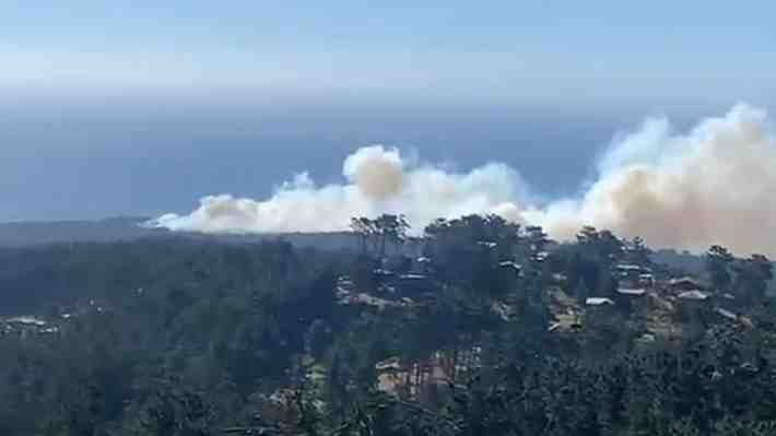Incendio forestal amenaza sectores habitados en Valparaíso: Declaran alerta roja y ordenan evacuaciones