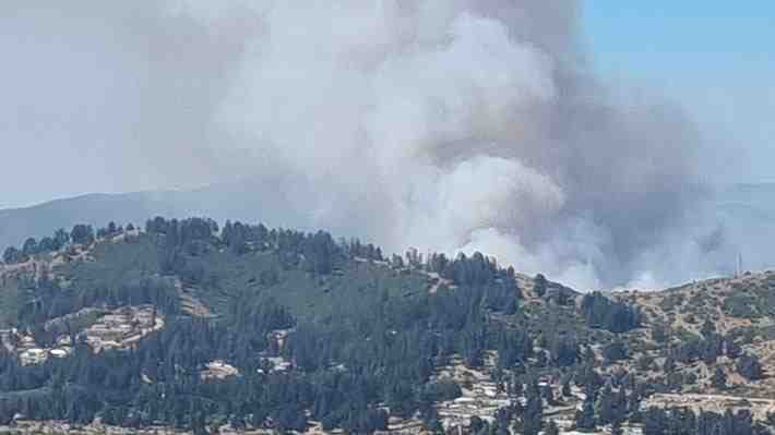 Incendios forestales mantienen en alerta a Región de Valparaíso: Llaman a evacuar sectores de Viña y Quilpué