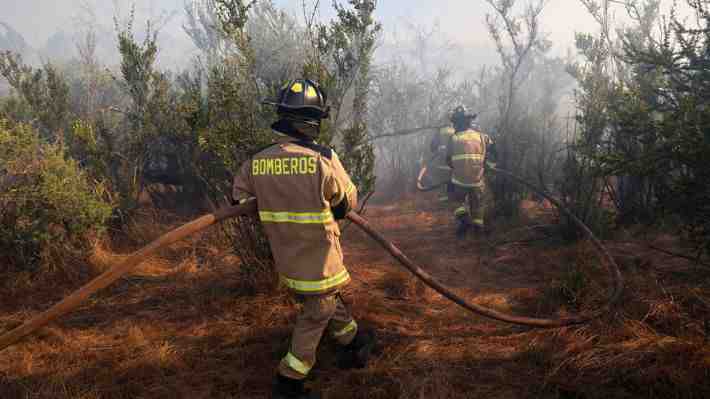 Senapred declara alerta roja y ordena evacuación para sectores de Quillota y Curacaví por incendios forestales