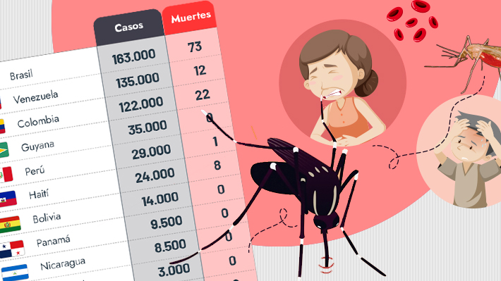 Muertes por malaria: ¿Qué países del mundo siguen siendo los más afectados?