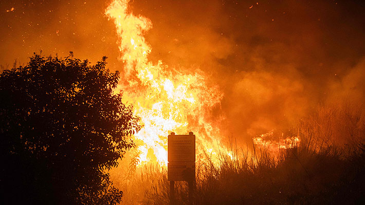 Incendio en Malibú: Miles de personas, incluyendo celebridades, evacúan la lujosa ciudad estadounidense