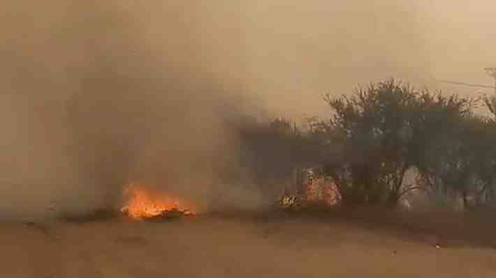 Incendio forestal en Melipilla se sigue propagando y obliga a evacuar diversos sectores de la comuna