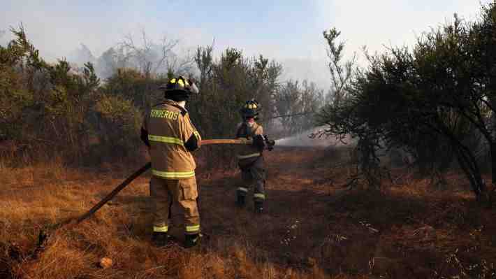 Senapred declara alerta roja para la comuna de Lampa por incendio forestal