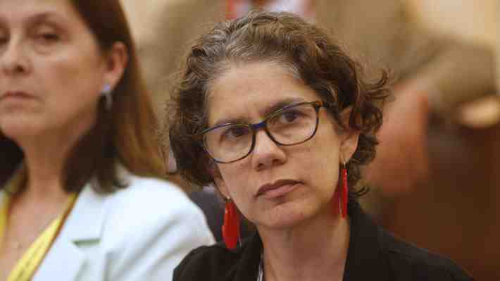Dominga: Rojas explica decisión de ir a Contraloría y afirma que situación ambiental en La Higuera es "crítica"