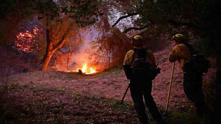 Incendios en California no dan tregua y hectáreas afectadas ascienden a 15 mil: Hay 13 personas desparecidas