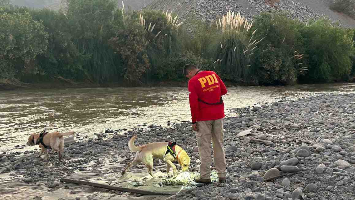 PDI investiga hallazgo de restos humanos en la ribera de río Aconcagua
