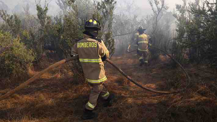 Senapred: Ocho incendios permanecen en combate y autoridades piden seguir procesos de evacuación