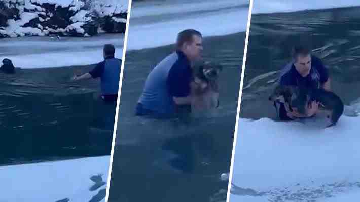 Video | El momento en que un hombre rescata a un perro que estaba "ahogándose" en un río de EE.UU.