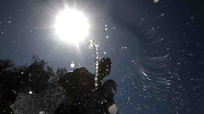 Meteorología prevé  40 grados entre O'Higgins y el Maule para este fin de semana: RM llegaría a 37