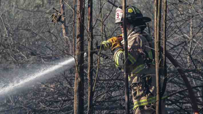 Sigue el debate por dichos de Tohá por incendios: Fiscal de La Araucanía dice que "no se puede descartar" reivindicaciones