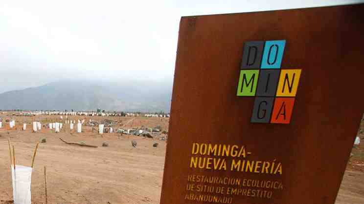 Dominga: Detalles y alcances del nuevo fallo que propinó un nuevo revés al Comité de Ministros