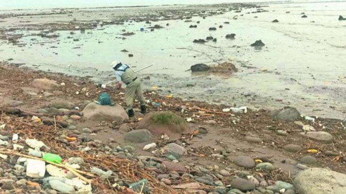 Alerta en Playa Chinchorro: Seremi de Salud de Arica cierra acceso por altos niveles de contaminación