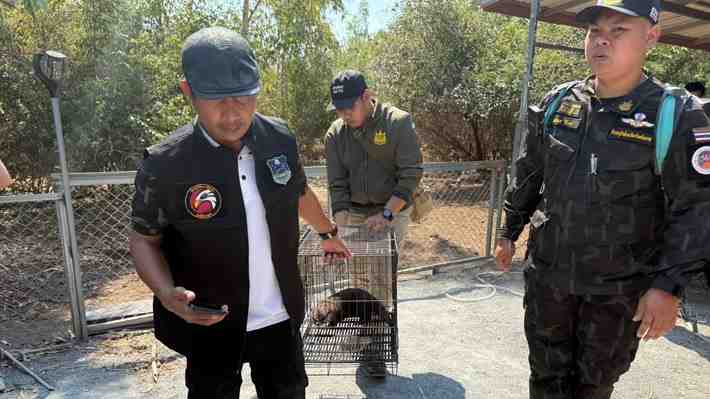 Youtuber español Frank Cuesta fue detenido por presunta posesión ilegal de animales salvajes en Tailandia