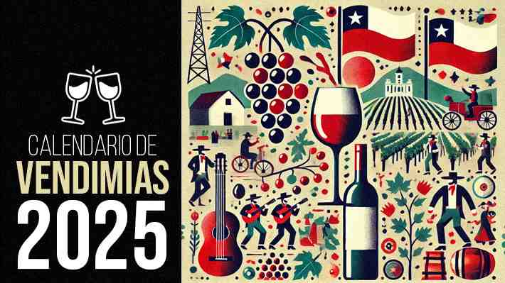 Vendimias entran en tierra derecha: Conoce el calendario de las fiestas por las cosechas que se realizarán en todo Chile