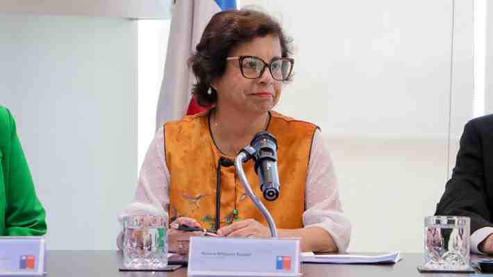 ¿Qué es y quiénes lo conforman?: El comité de "alto nivel" para minerales críticos convocado por guerra comercial