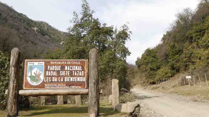 SMA activa alarma por proyecto inmobiliario emplazado entre parques nacionales del Maule