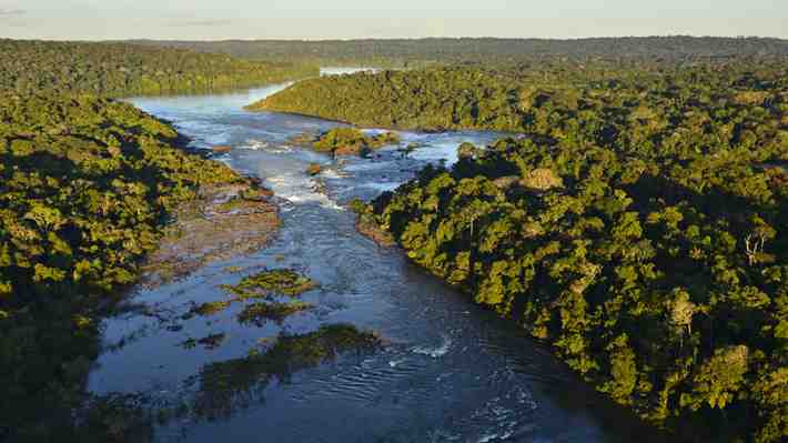 Bolivia: Cinco personas sobreviven luego que avioneta cayera en un pantano repleto de caimanes en la Amazonía