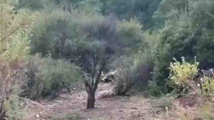 Video: El momento en que motoqueros encontraron los restos de la aeronave siniestrada en Curacaví