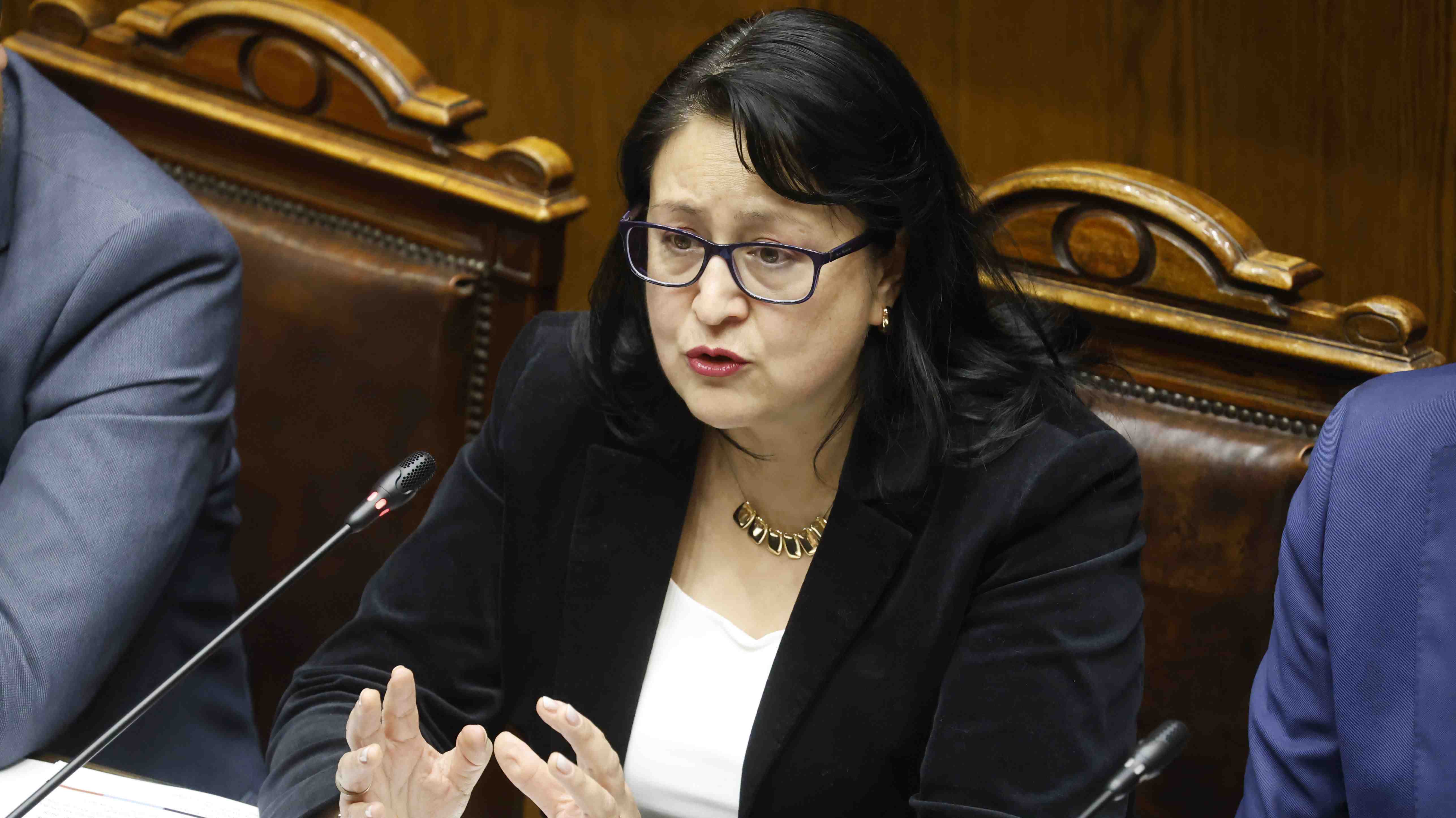 Fiscalización todos los años y más atribuciones para Contraloría: Las definiciones de Dorothy Pérez ante el Senado