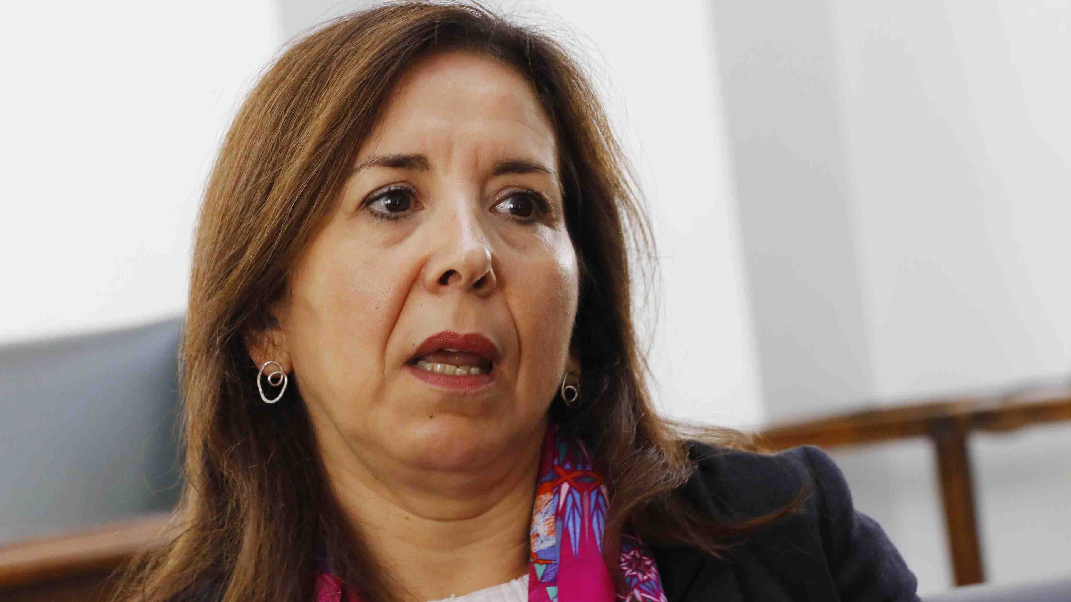 Servel y definiciones legislativas a meses de elecciones: Se necesitan "lo antes posible"