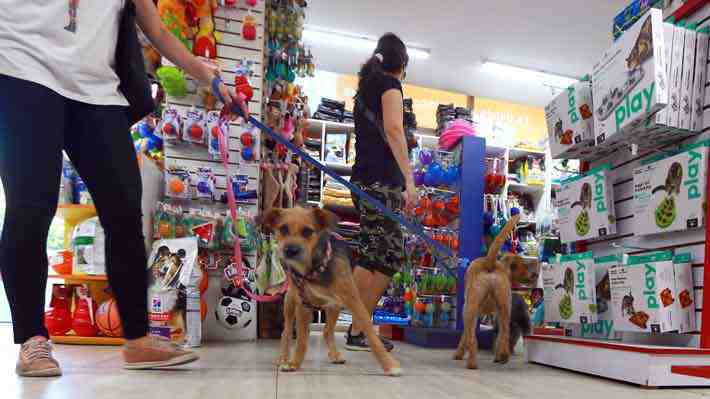 Boom de tiendas de mascotas en Santiago: Superan las 1.100 y se han más que duplicado en 5 años