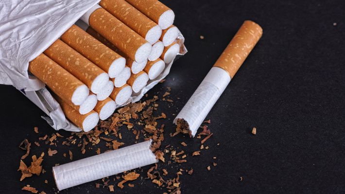 Investigadores chilenos trabajan en una solución biotecnológica para eliminar cigarrillos ilegales mediante cepas microbianas