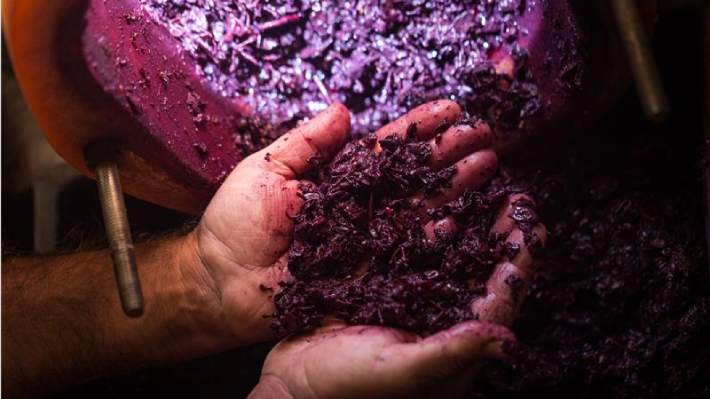 Convocatoria busca proyectos que transformen residuos del vino en productos innovadores y sostenibles