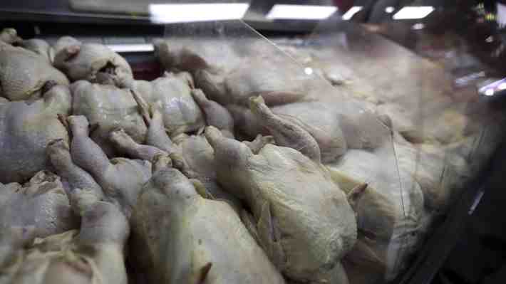 Pollo brasileño sigue vetado en Chile y gremio gastronómico advierte: "Lo van a pagar los consumidores"