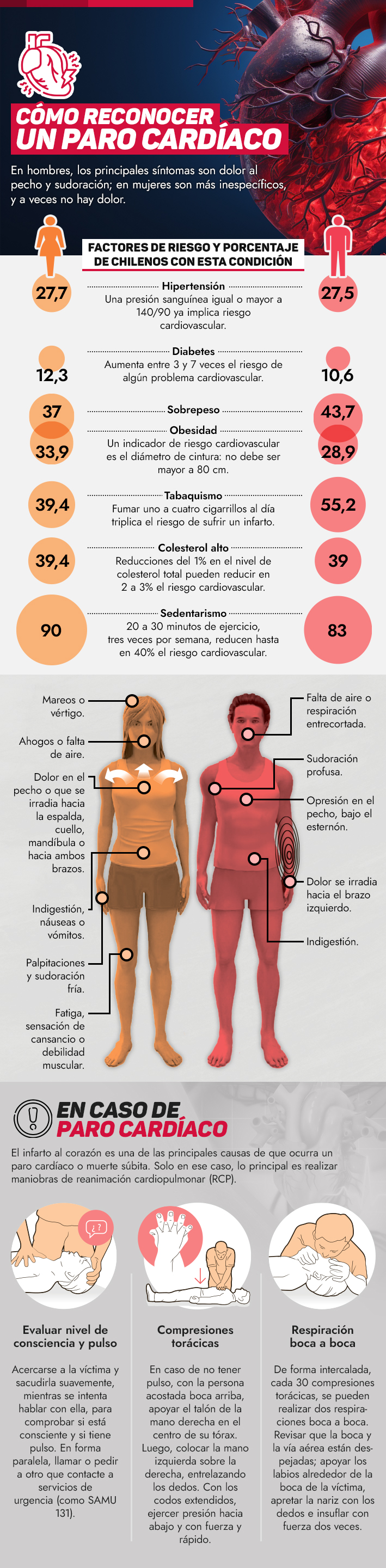 Infografia