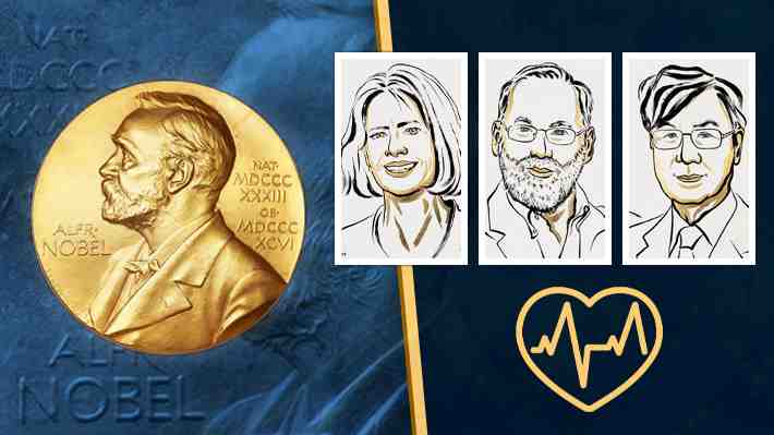 Qué es la tolerancia inmunológica periférica que significó el Nobel de Medicina y su relevancia