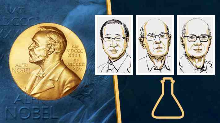 El desarrollo de estructuras metaorgánicas concede el Nobel de Química: ¿Por qué son tan importantes?