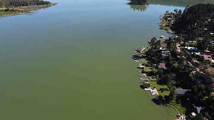 Problemas hepáticos y gastrointestinales o dermatitis: Los riesgos para la salud que tiene el agua del lago Vichuquén