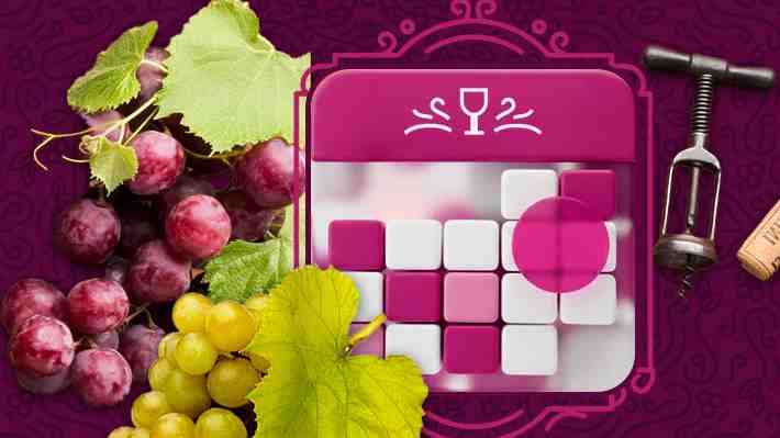 Chile descorcha su temporada 2026: Conoce el calendario de vendimias con actividades a lo largo del país