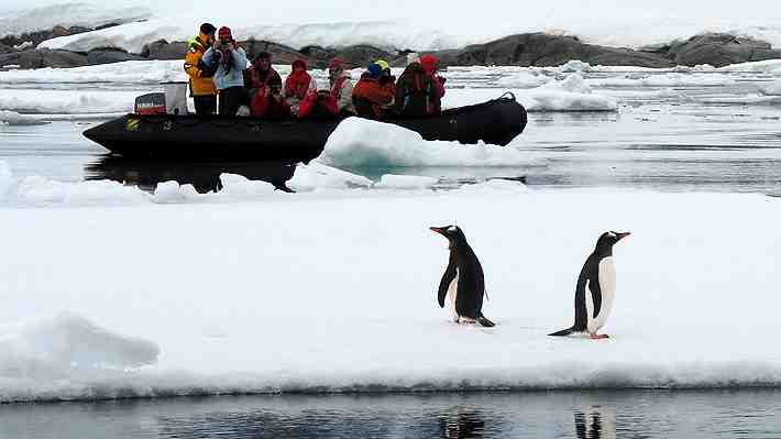 Vacaciones "VIP" de estrellas de Hollywood en la Antártica reabren debate por impacto ambiental en el continente blanco