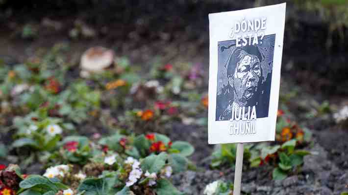 ¿Gobierno?, ¿oficialismo?, ¿la familia?: Quién instaló la ahora falsa tesis por activismo de la muerte de Julia Chuñil